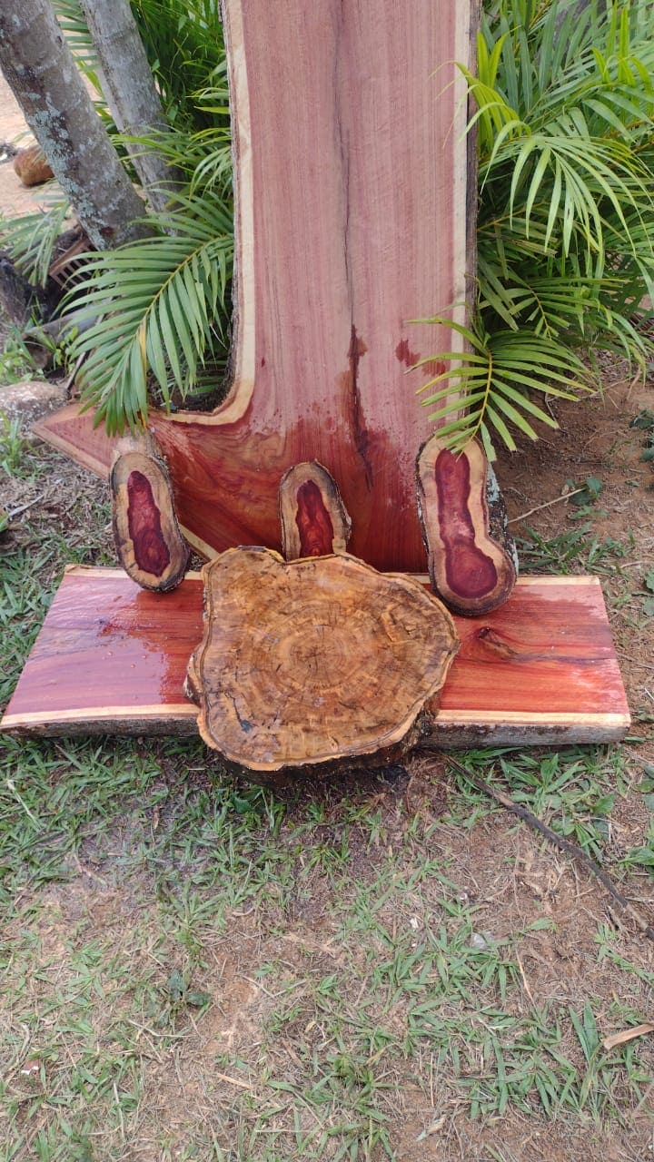 Tábua de carne